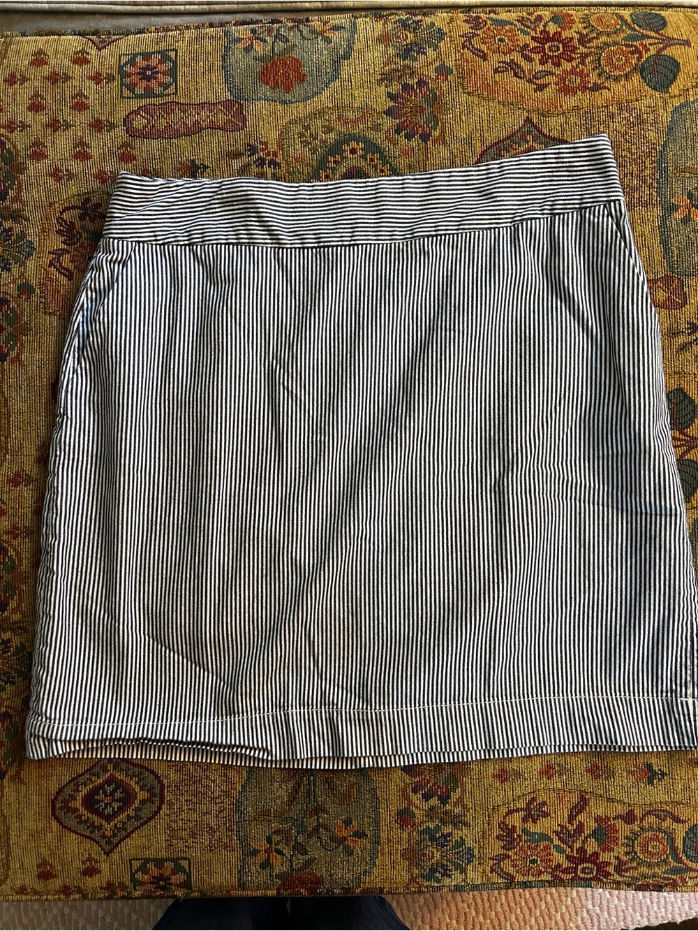 Blue and white striped skirt